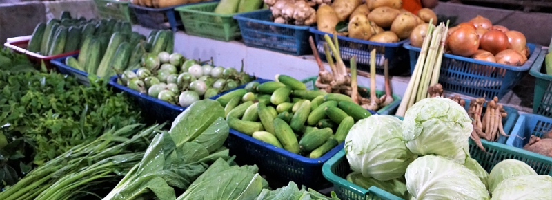 Banque Alimentaire - Association La Main Tendue